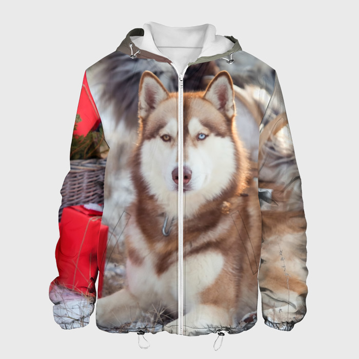 Хаски одежда. Husky d684z4862 d633-7368. Мужской свитшот 3d хаски xl. Дождевик для хаски. Одежда для хасок.