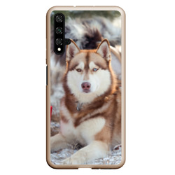 Чехол для Honor 20 Хаски