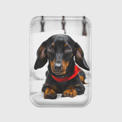 Картхолдер Magsafe магнитный Пёсик