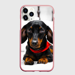 Чехол для iPhone 11 Pro Max матовый Пёсик