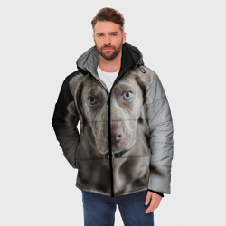 Мужская зимняя куртка 3D Puppy - фото 2