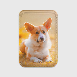 Картхолдер Magsafe магнитный Взгляд