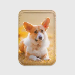 Картхолдер Magsafe магнитный Взгляд