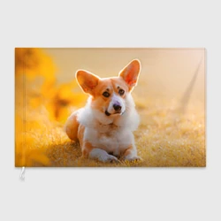 Флаг 3D Взгляд