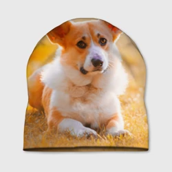 Шапка 3D Взгляд