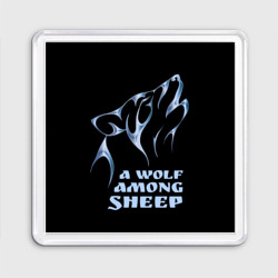 Магнит 55*55 Волк среди овец