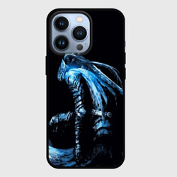 Чехол для iPhone 13 Pro Dark Souls