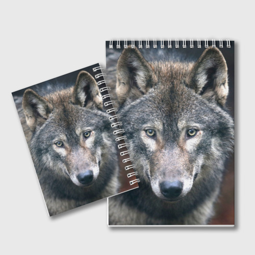 Блокнот Серый волк, цвет точка - фото 2