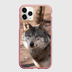 Чехол для iPhone 11 Pro Max матовый Серый волк