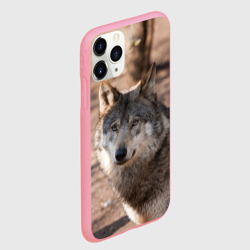 Чехол для iPhone 11 Pro Max матовый Серый волк - фото 2