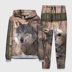 Мужской костюм с толстовкой 3D Серый волк