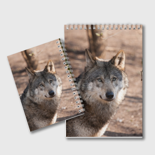 Блокнот Серый волк, цвет белый - фото 2