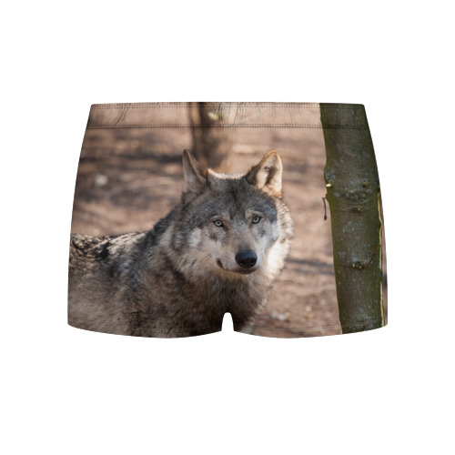 Мужские трусы 3D Серый волк, цвет 3D печать - фото 2