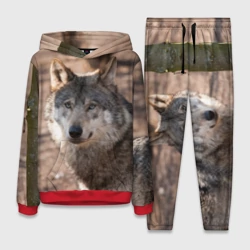 Женский костюм с толстовкой 3D Серый волк