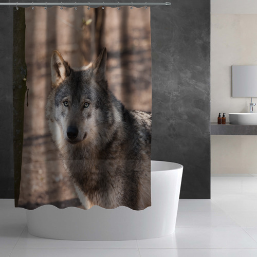 Штора 3D для ванной Серый волк - фото 3