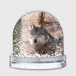 Игрушка Снежный шар Серый волк