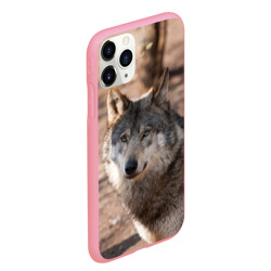 Чехол для iPhone 11 Pro Max матовый Серый волк - фото 2