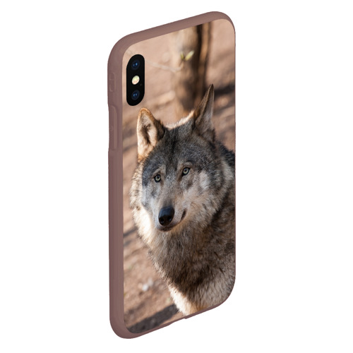 Чехол для iPhone XS Max матовый Серый волк, цвет коричневый - фото 3