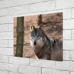 Холст прямоугольный Серый волк - фото 2