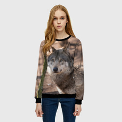 Женский свитшот 3D Серый волк - фото 2