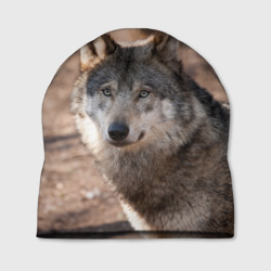 Шапка 3D Серый волк