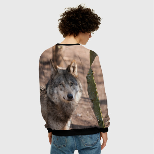 Мужской свитшот 3D с принтом Серый волк, вид сзади #2
