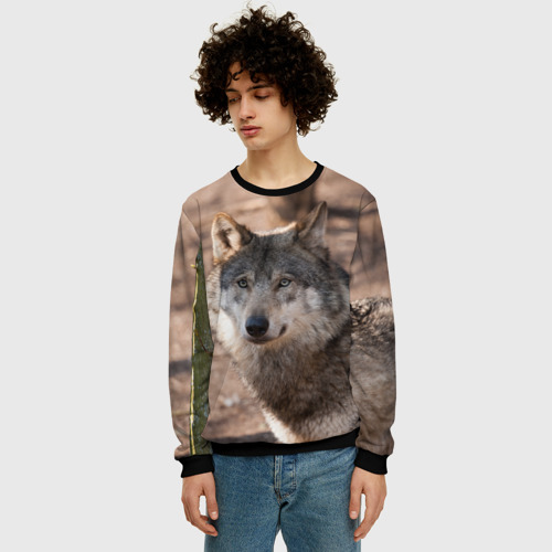 Мужской свитшот 3D с принтом Серый волк, фото на моделе #1