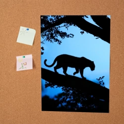 Постер Чёрная пантера - фото 2