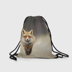 Рюкзак-мешок 3D Рыжий лис fox