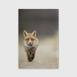 Обложка для паспорта матовая кожа Рыжий лис fox