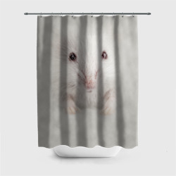 Штора 3D для ванной Крыса