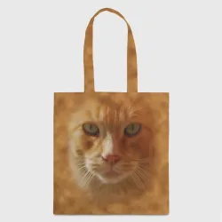 Рыжий котик