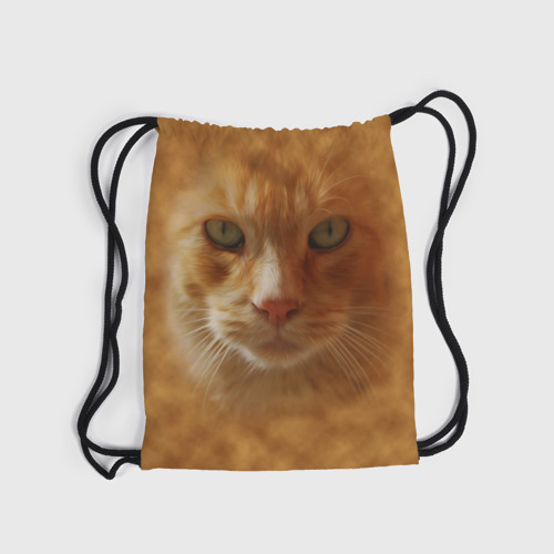 Рюкзак-мешок 3D Рыжий котик - фото 6