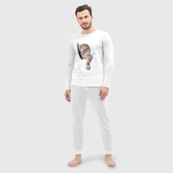 Пижама с принтом Кот прорвался для мужчины, вид на модели спереди №2. Цвет основы: белый