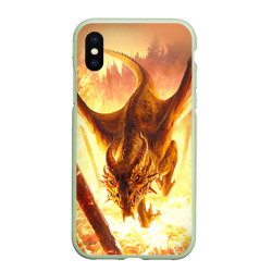 Чехол для iPhone XS Max матовый Дракон