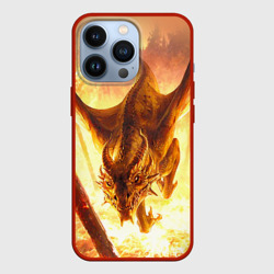 Чехол для iPhone 13 Pro Дракон