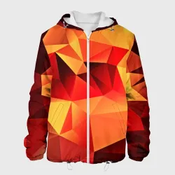 Мужская куртка 3D Abstraction color