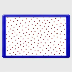 Магнит 45*70 Божьи коровки