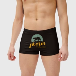 Мужские купальные плавки 3D Siberia - фото 2