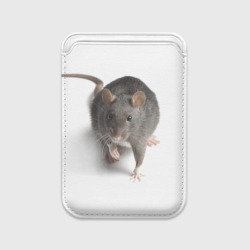Картхолдер Magsafe магнитный Крыса