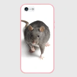 Чехол для iPhone 5/5S матовый Крыса