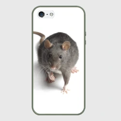 Чехол для iPhone 5/5S матовый Крыса