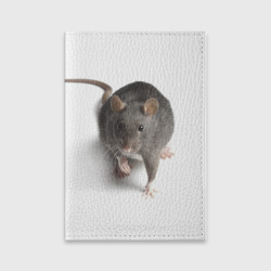 Обложка для паспорта матовая кожа Крыса