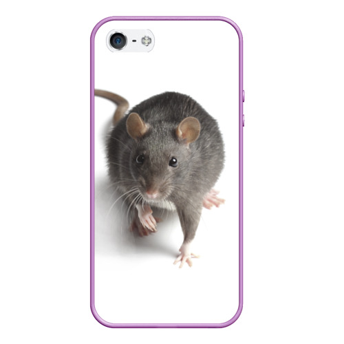 Чехол для iPhone 5/5S матовый Крыса, цвет сиреневый