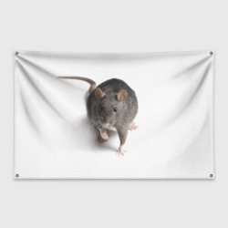 Флаг-баннер Крыса