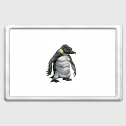 Магнит 45*70 Пингвинопитек