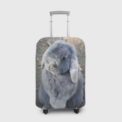 Чехол для чемодана 3D Кролик