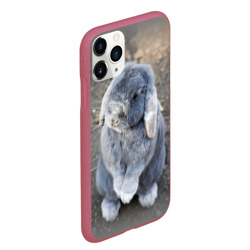 Чехол для iPhone 11 Pro Max матовый Кролик - фото 2