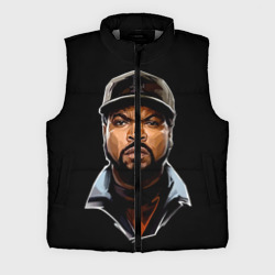 Мужской жилет утепленный 3D Ice Cube 1