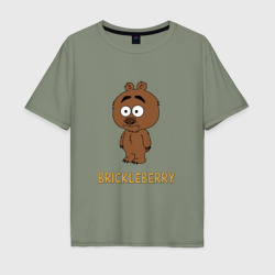 Мужская футболка хлопок Oversize Malloy Brickleberry